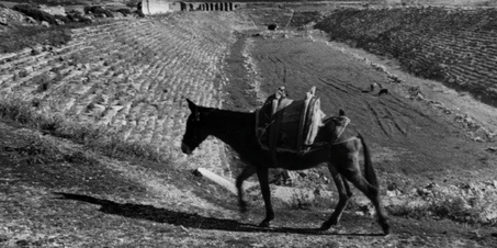 Ara Güler'in Gözünden: Aphrodisias Çığlığı