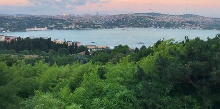 İstanbul’da Ormanlara Giriş Yasağı Başladı mı? Nereler Yasak?