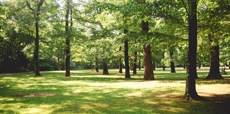 Çilingoz Tabiat Parkı'nda Denize Girilir mi, Nasıl Gidilir?