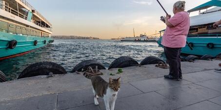 İstanbul'da Balık Tutmak İçin En Keyifli Noktalar