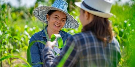 Sürdürülebilir Bir Tatil Seçeneği: Agro Turizm Nedir?