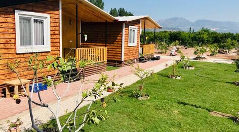 Mavikent Otellerine Ulaşım ve Şehir İçi Ulaşım Hakkında Bilmeniz Gerekenler