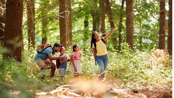 Bol bol trekking ve doğa yürüyüşü yapın