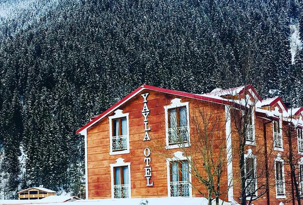 Zeytindalı Yayla Hotel