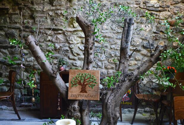 Zeytin Ağacı Hotel - Görsel 2