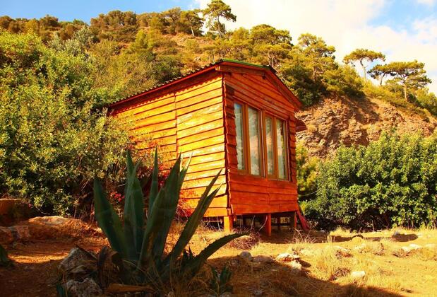 Görsel 2 : Cosmos Lounge, Fethiye, Bungalov, Ortak Banyo, Oda
