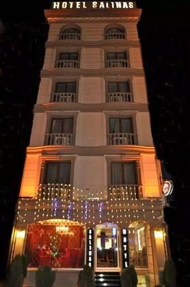 Salinas İstanbul Boutique Hotel