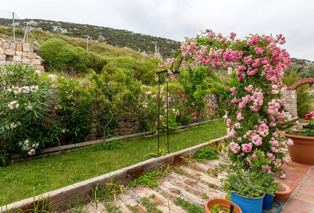 Mavi Keçi Otel - Görsel 5