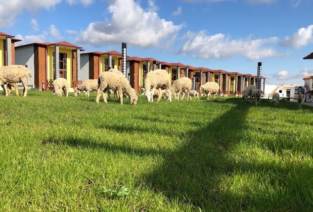 Green Garden House Otel - Görsel 79