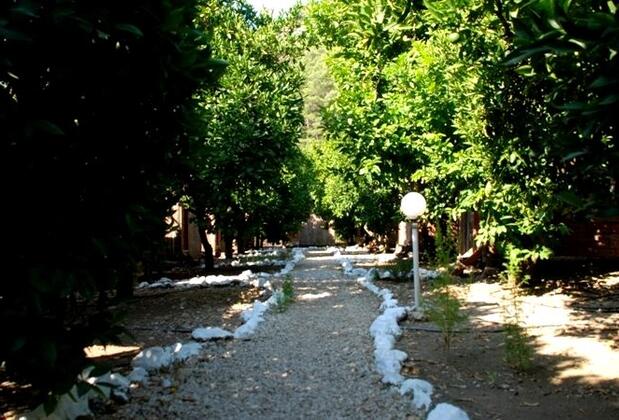 Olympos Alaturca Pansiyon - Görsel 2