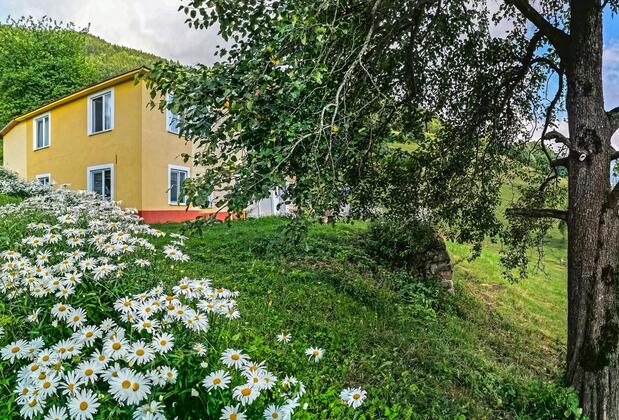 Home Stay Süllü Dağ Evi