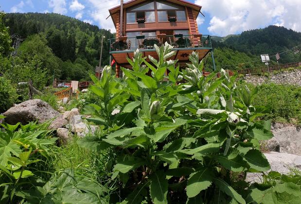 Ayder Smail Oberj Cafe Dağ Evi - Görsel 2