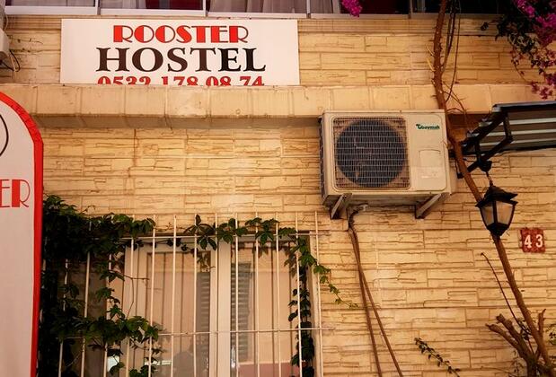 Rooster Hostel