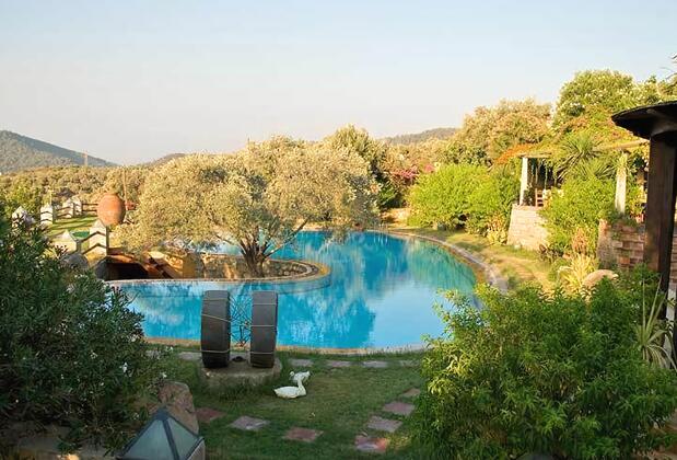 Antik Zeytin Bio Hotel - Görsel 2