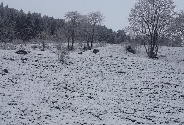 Dağevi Apart Uzungöl - Görsel 23