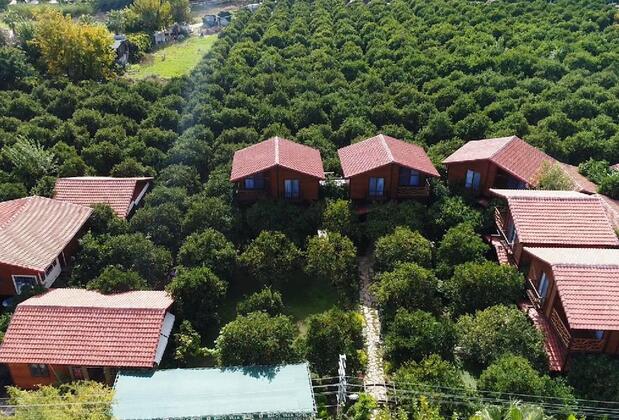 Bahçe Villa Hotel - Görsel 2