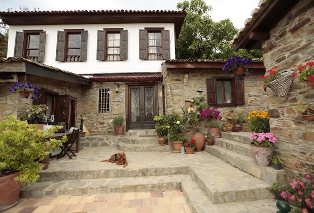 Terrace Houses Şirince