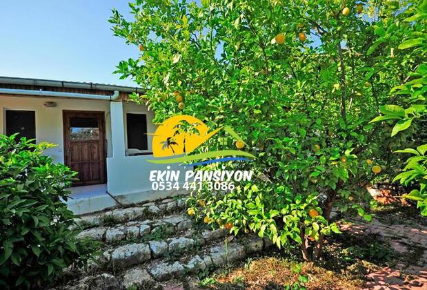 Kekova Ekin Pansiyon & Restaurant - Görsel 2