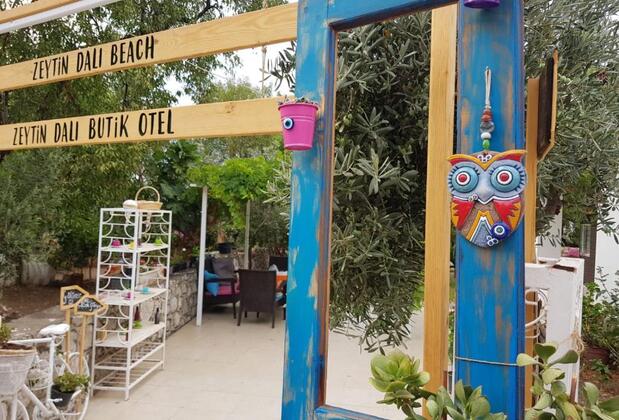 Zeytin Dalı Butik Otel & Beach