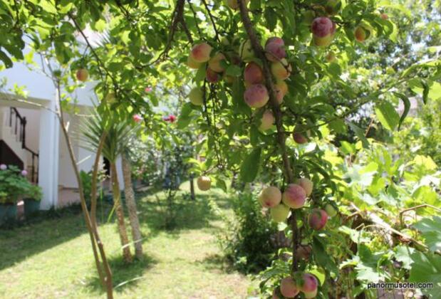 Panormus Hotel & Apart - Görsel 2