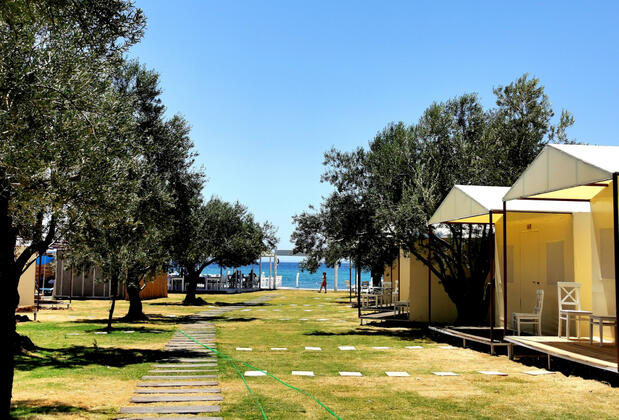 Mavi Zeytin Beach & Glamping