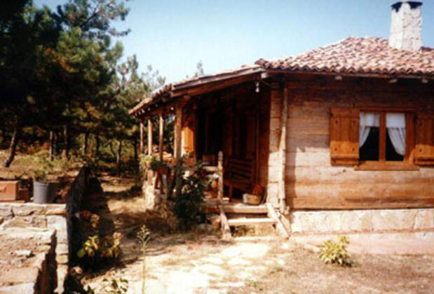 Salıcı Evi