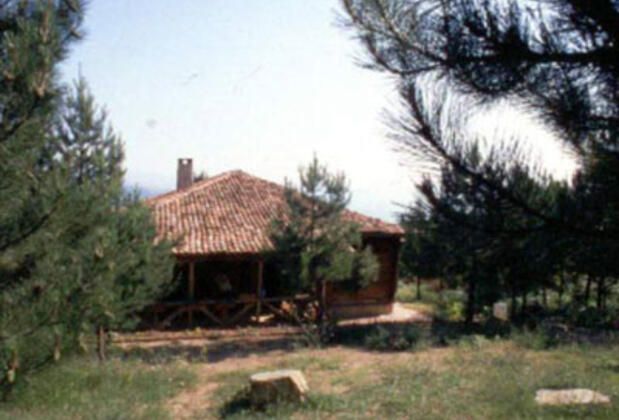 Salıcı Evi - Görsel 2