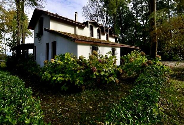 Villa Doğa - Görsel 2