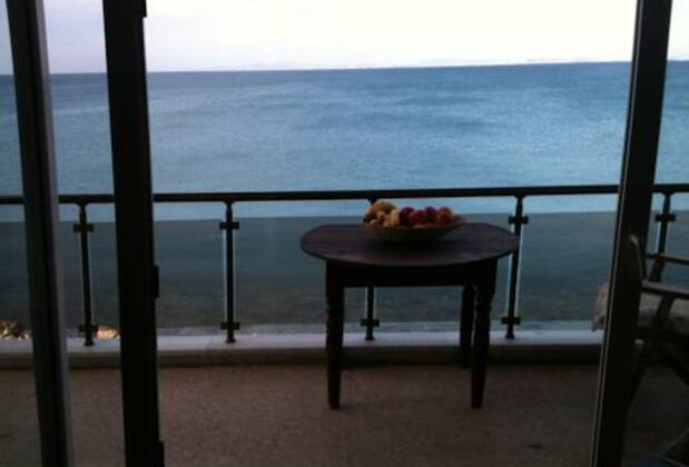 Ant Home - Görsel 6