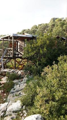 The Purple House - Görsel 2