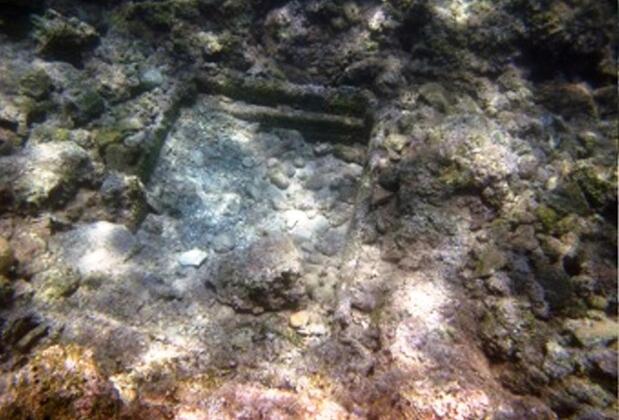 The Purple House - Görsel 37