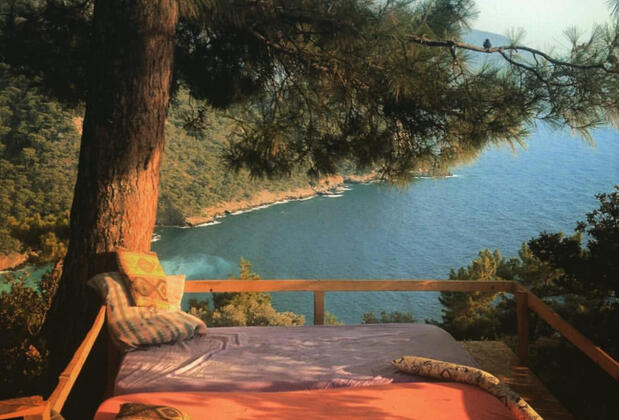 Kök Kamp - Görsel 18