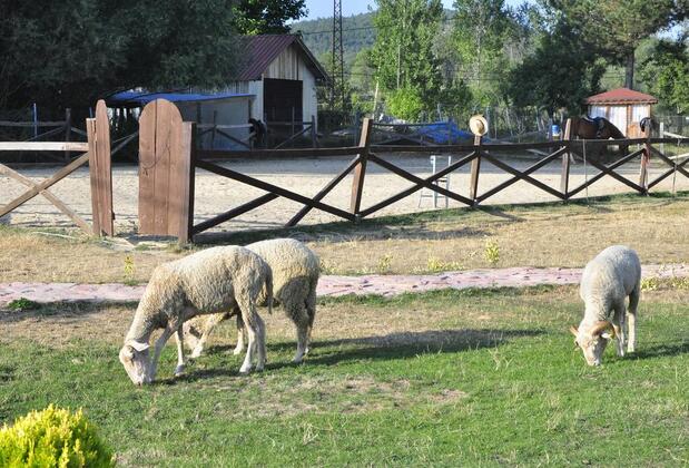 Emirbey Atlı Turizm ve Doğal Yaşam Köyü - Görsel 2