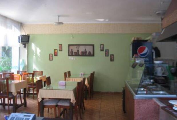 Alp Hotel - Görsel 2