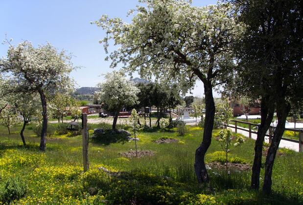 Black Tree Farm & Cottages - Görsel 43