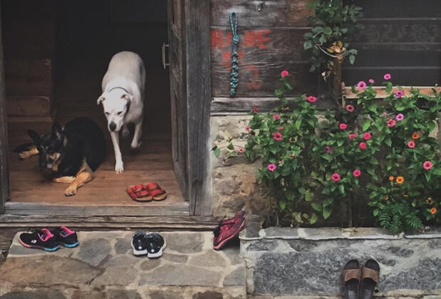 Plato'da Mola - Görsel 44