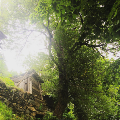 Goboca Dağ Evi - Görsel 29