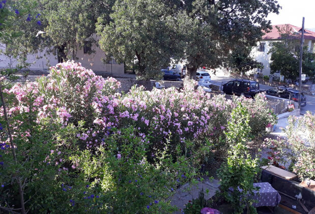 Şaziye Apart Pansiyon - Görsel 33