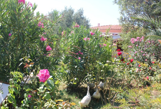 Poyraz Bağ Evleri - Görsel 31