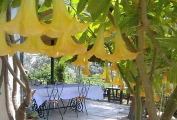 Taş Ev Gümüşlük Cafe Restaurant - Görsel 2