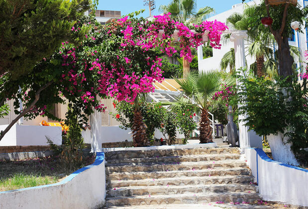 Mia Blu Otel - Görsel 22