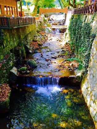 Yayla Alabalık Restaurant ve Butik Otel - Görsel 2