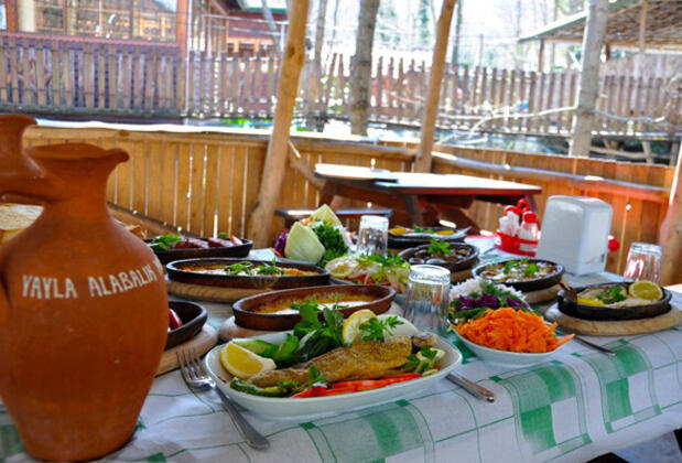 Yayla Alabalık Restaurant ve Butik Otel - Görsel 44