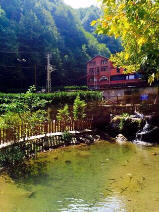 Yayla Alabalık Restaurant ve Butik Otel - Görsel 44