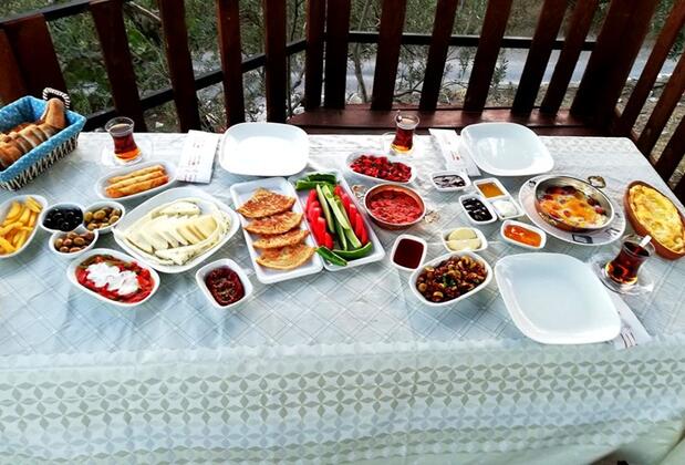 Çınar Avlu Köy Evi - Görsel 2