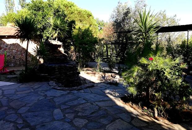 Çınar Avlu Köy Evi - Görsel 8