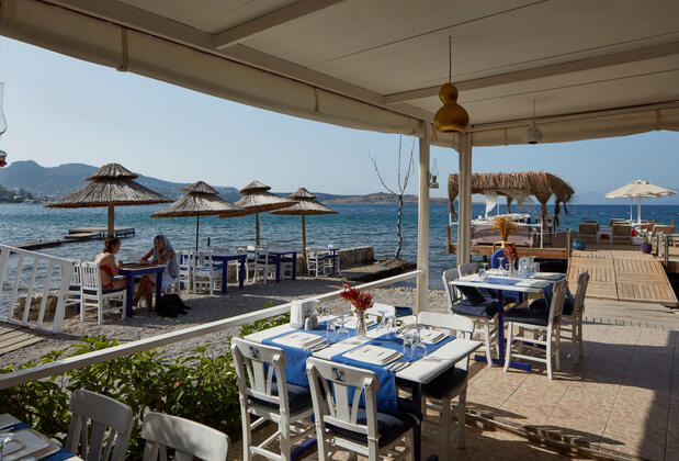 Palmiye Beach Bodrum - Görsel 23