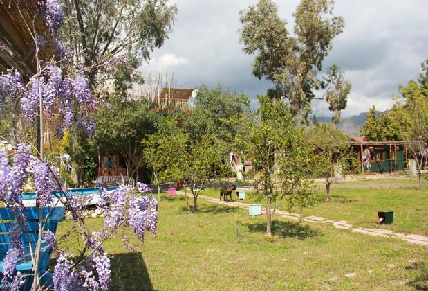 Esralina Pansiyon - Görsel 46