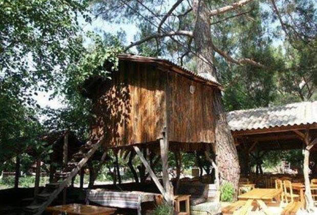 Türkmen Tree Houses - Görsel 2