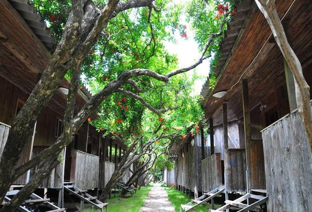 Türkmen Tree Houses